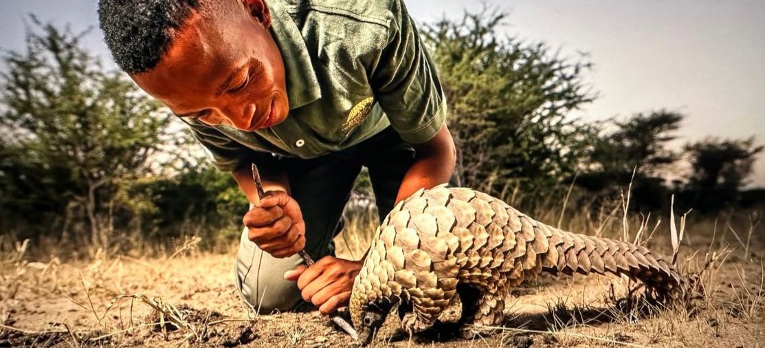 adopt-a-pangolin-guardian-pangolin-conservation-research-foundation